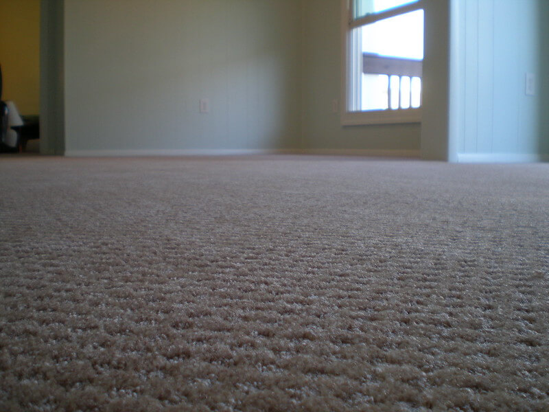 New Carpet Installed