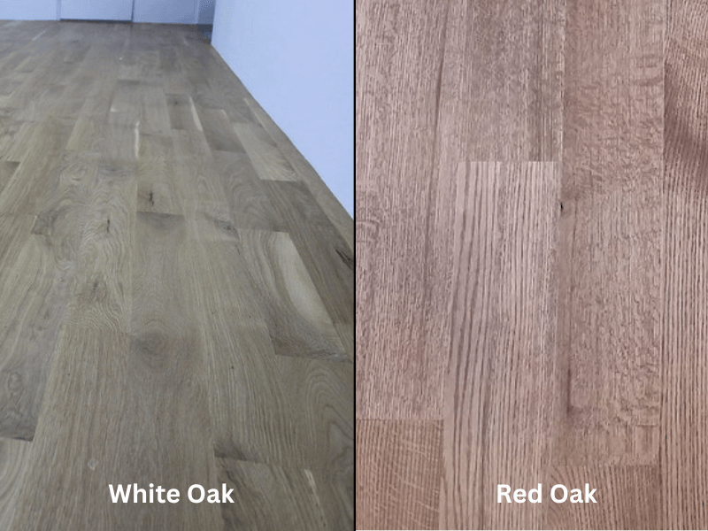 White Oak vs Red Oak Color Differences