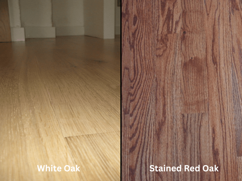 White Oak vs Red Oak Grain Difference
